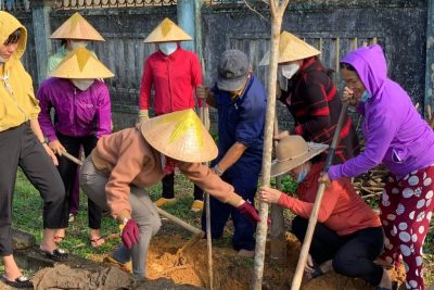 Hưởng ứng ngày ” Tết trồng cây”