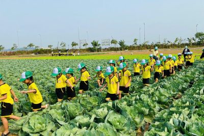 HÀNH TRÌNH TRẢI NGHIỆM CỦA CÁC BÉ 5 TUỔI TRƯỜNG MẦM NON HÀNH THIỆN: TỪ LỊCH SỬ ĐẾN KỸ NĂNG SỐNG